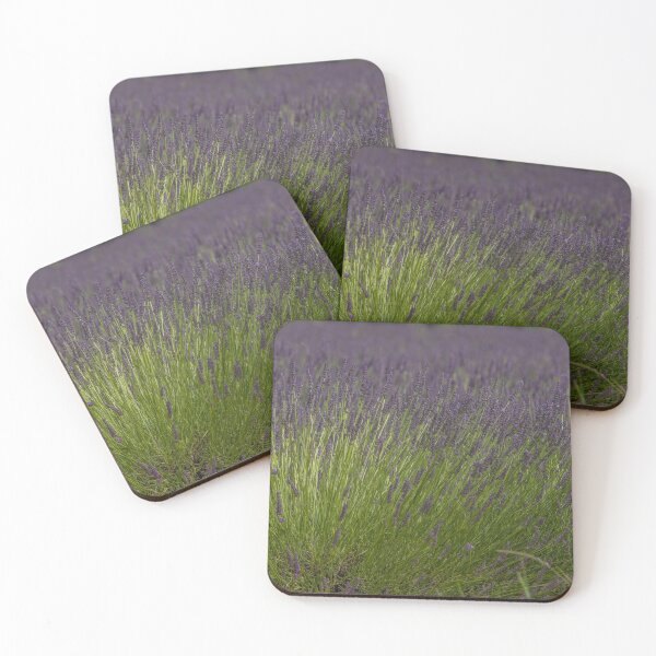 Item preview, Lavander, Provence - nature - France Valensole - BIPHOTO - #ilonabarnabiphotonews designed and sold by BIPHOTONEWS.