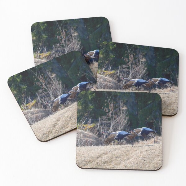 Item preview, Step by step. Eurasian crane designed and sold by Jouko Lehto Photography.