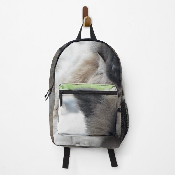 Item preview, Cuddling Kitten and Puppy designed and sold by cgroenewald.