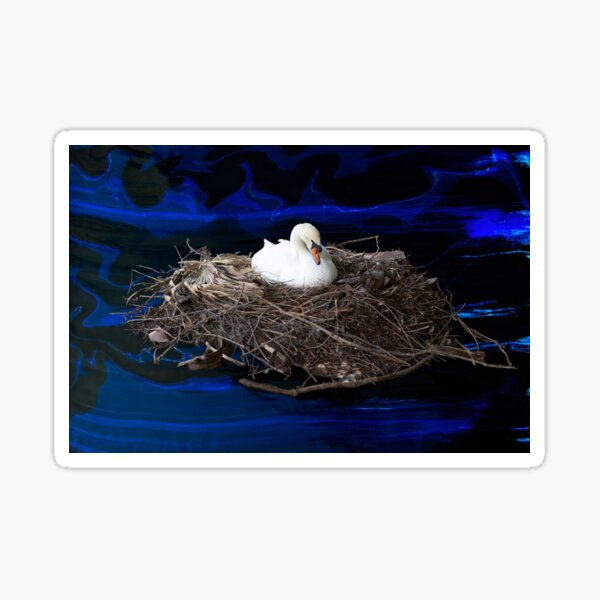 Swan Nest Sticker