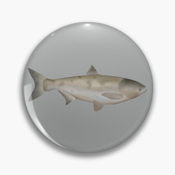 Item preview, Bighead Carp designed and sold by fishfolkart.