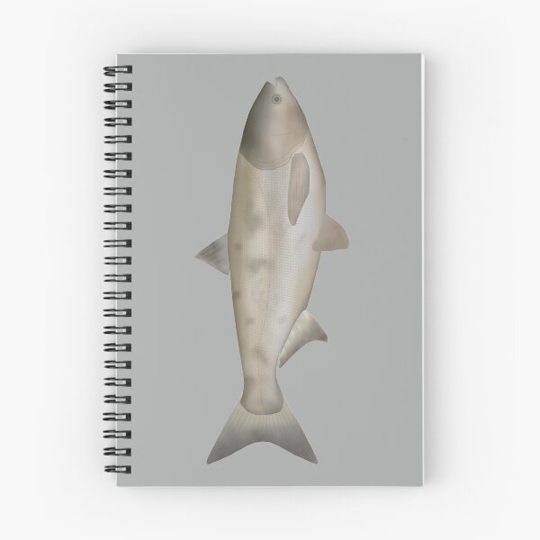Item preview, Bighead Carp designed and sold by fishfolkart.