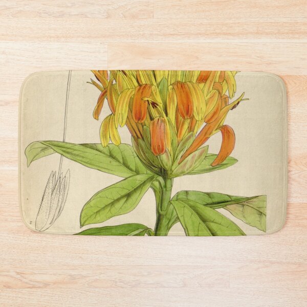 Item preview, Curtis's botanical magazine (Tab. 4468) (8411706042) designed and sold by EsotericBotanic.