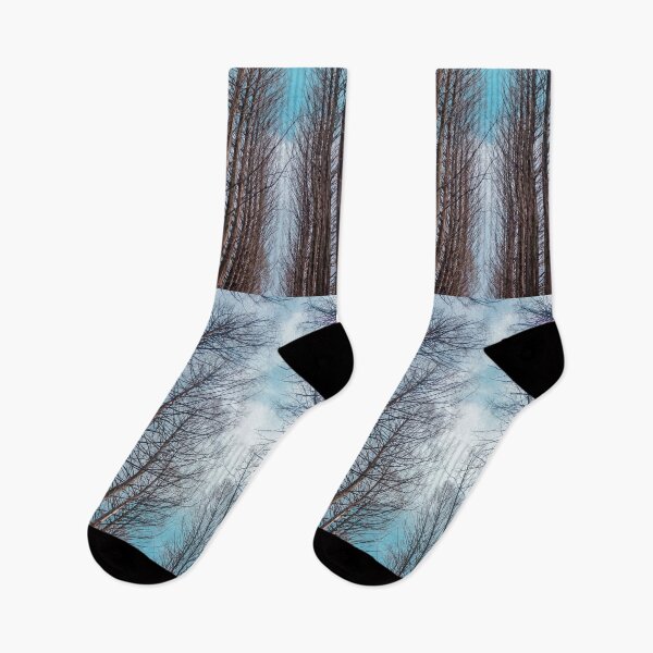Item preview, Cold Autumn Trees in Blue Skies designed and sold by thegraypocket.