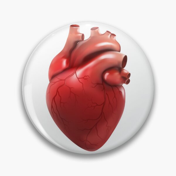 Item preview, 3d realistic human heart art designed and sold by AznavourByKarin.
