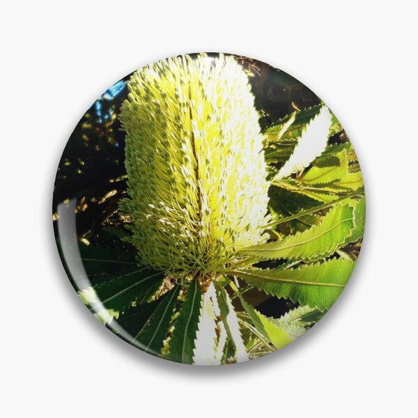Item preview, Native Banksia Tree Flower designed and sold by Eka77.