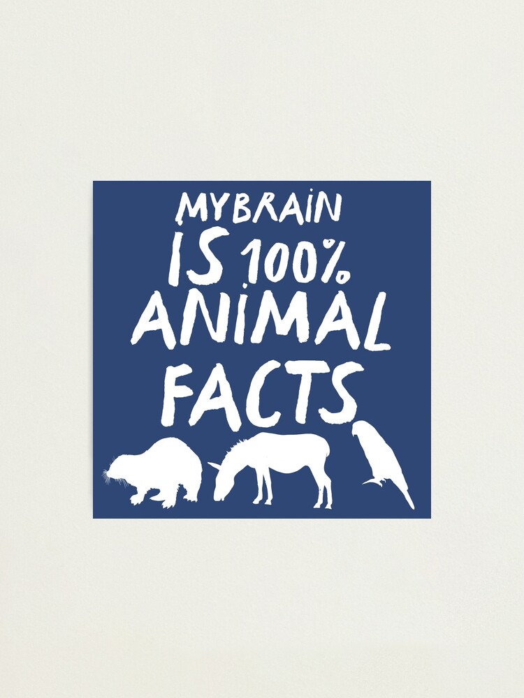 My Brain Is 100% Animal Facts