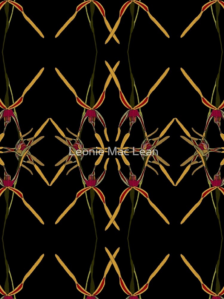 Reaching Spider Orchid Mirror Design Western Australia by yallmia