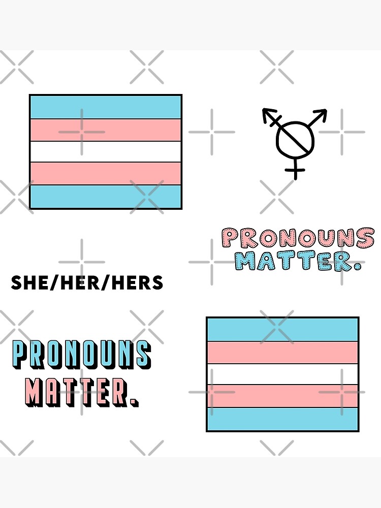 trans-pronouns-she-her-hers-pack-sticker-art-print-by-koiboi11