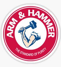 The standard of purity Sticker