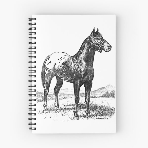 Item preview, Blanket Appaloosa Stallion designed and sold by Terry McNamee.