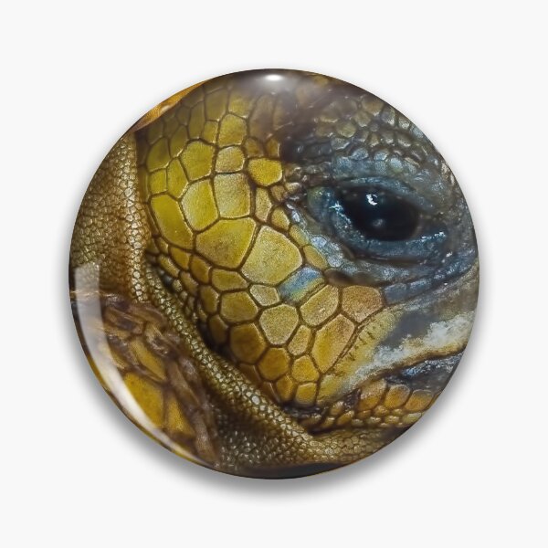 Item preview, Tortoise designed and sold by Joe Saladino.