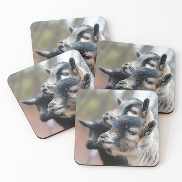 Item preview, Goat Profiles designed and sold by StampCity.