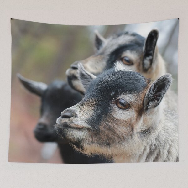 Item preview, Perfiles de cabras designed and sold by StampCity.