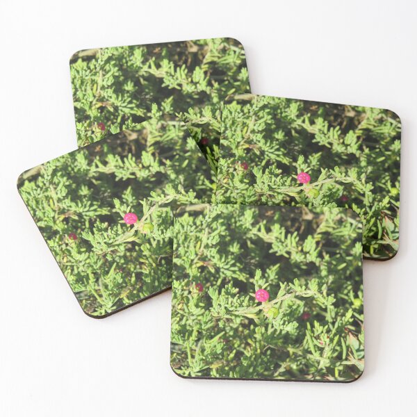 Item preview, Ruby saltbush designed and sold by greentiger1.
