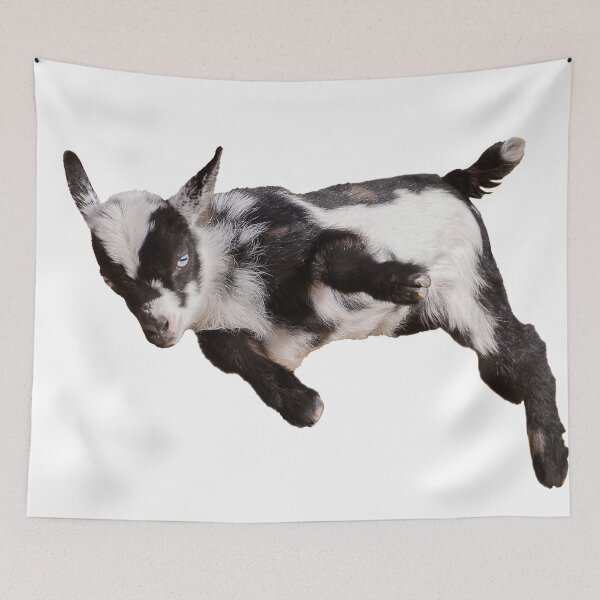Item preview, Bouncing Baby Goat II designed and sold by OryPhotography.