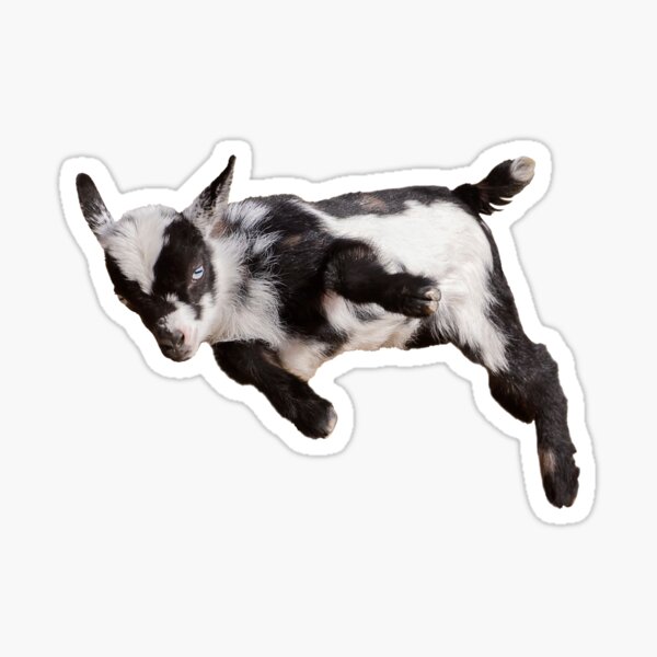 Bouncing Baby Goat II Sticker