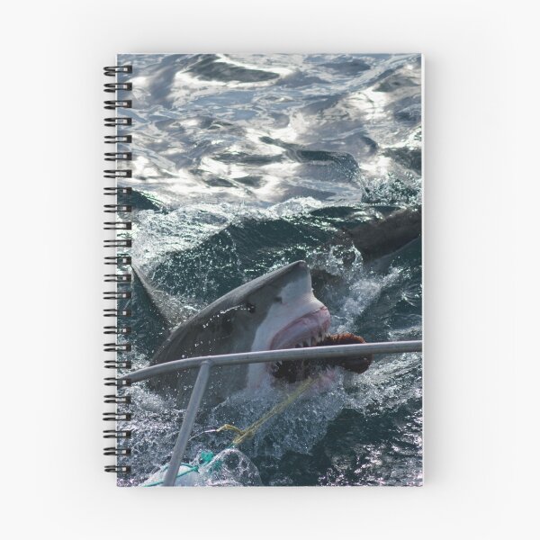 Item preview, Great White Shark Goes for Bait (2) designed and sold by Lauren Shawyer.
