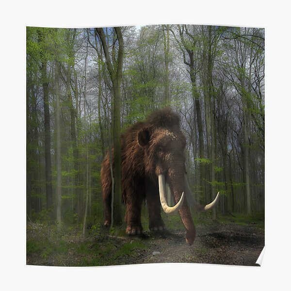 Digital Art Wild Mammoth In A Forest Poster