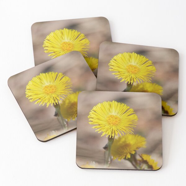 Item preview, The sun on the ground. Coltsfoot designed and sold by Jouko Lehto Photography.