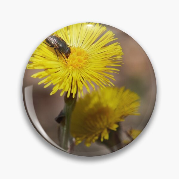Item preview, Visit of the fly. Coltsfoot designed and sold by Jouko Lehto Photography.
