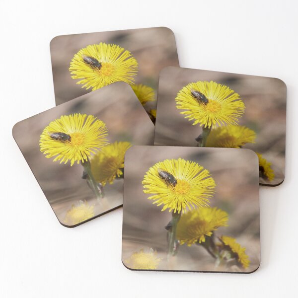 Item preview, Visit of the fly. Coltsfoot designed and sold by Jouko Lehto Photography.