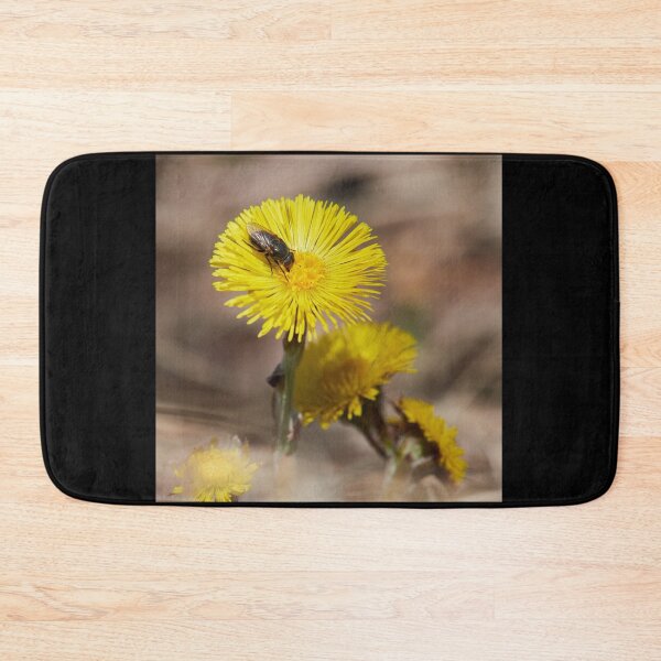 Item preview, Visit of the fly. Coltsfoot designed and sold by Jouko Lehto Photography.