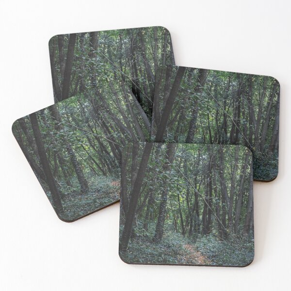 Item preview, Small path in the forest designed and sold by annaspoljar.