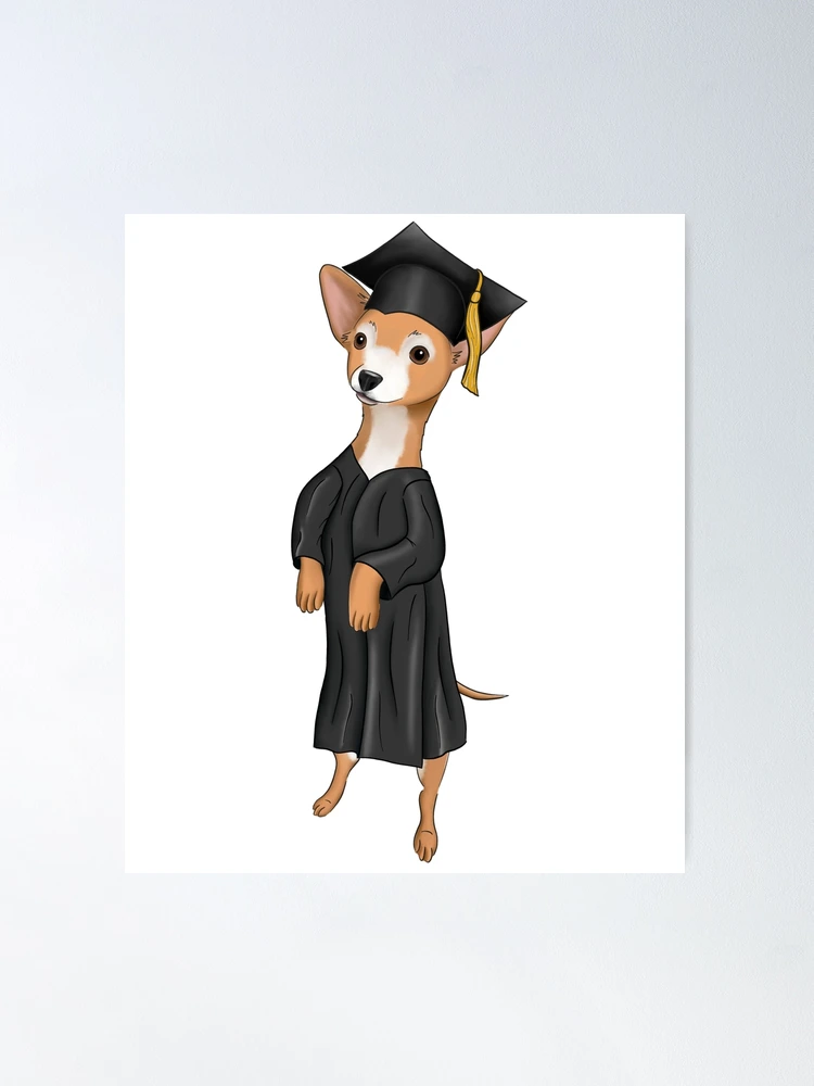 Amazon.com : Impoosy Dog Graduation Shirts with Pet Graduation Hats with  Yellow Tassel Puppy Graduation Costumes for Dogs Cats Holiday Costume  Accessory (2XL) : Pet Supplies