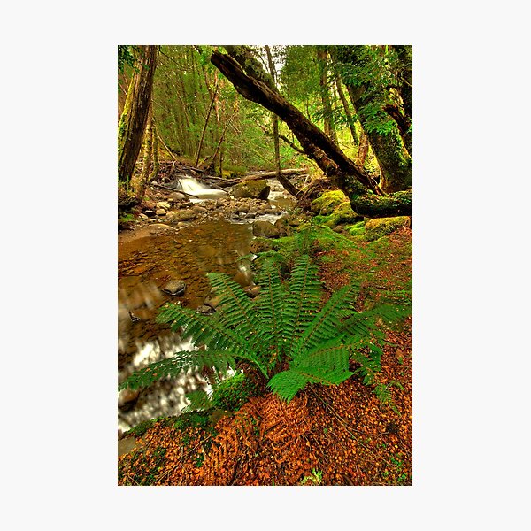 Item preview, Hugel River valley designed and sold by Kevin McGennan.