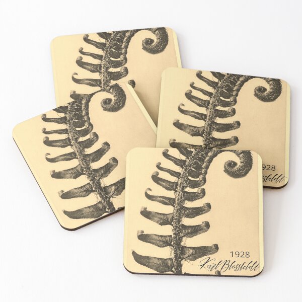 Item preview, Fern Frond Sepia Enhanced Vintage Photograph by Karl Blossfeldt 1928 Design designed and sold by EarthArtDesigns.