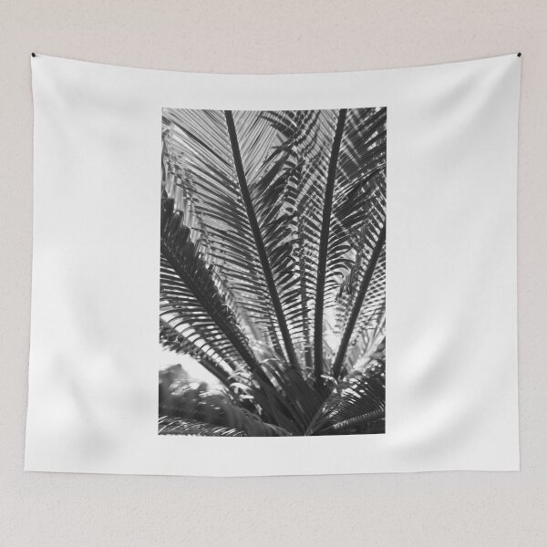 Item preview, Black and white picture of a palm tree designed and sold by annaspoljar.