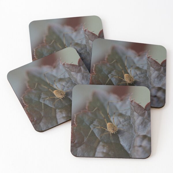 Item preview, Leaf Lobster designed and sold by StampCity.