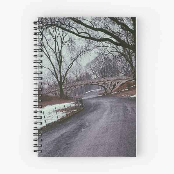 Item preview, Central Park Bridge in Snowy NYC designed and sold by Superior-Prints.