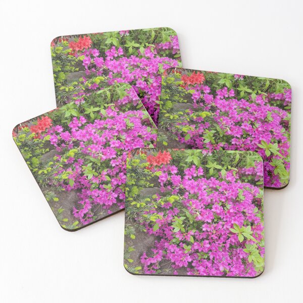 Item preview,  Azalea flowers along the hongjecheon road, Seoul in  Korea. designed and sold by human8891.