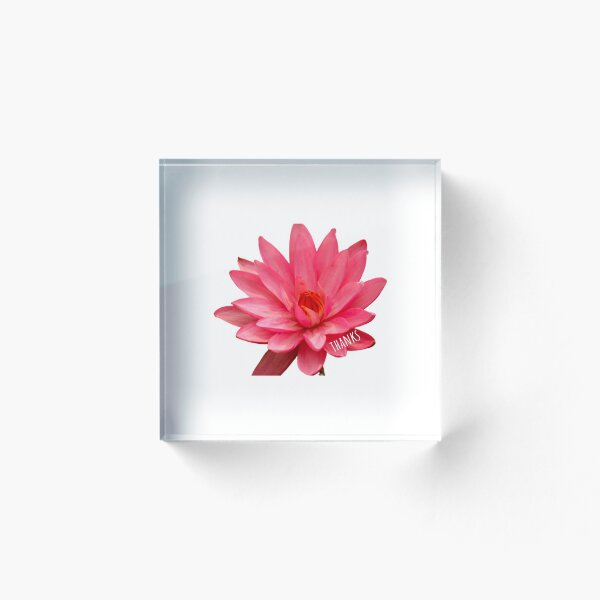 Aperçu de l'œuvre Fleur rose créée et vendue par Almaram.