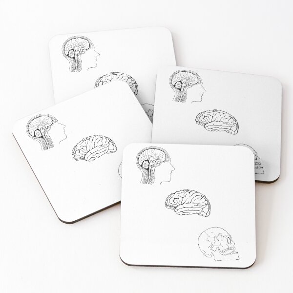 Item preview, anatomy designed and sold by niroubou.