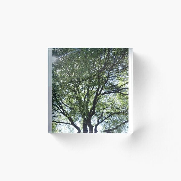 Item preview, The Tree of Life designed and sold by Iniqua.