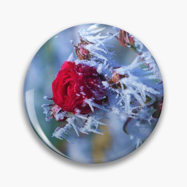 Item preview, Frozen rose designed and sold by PeterMunz.