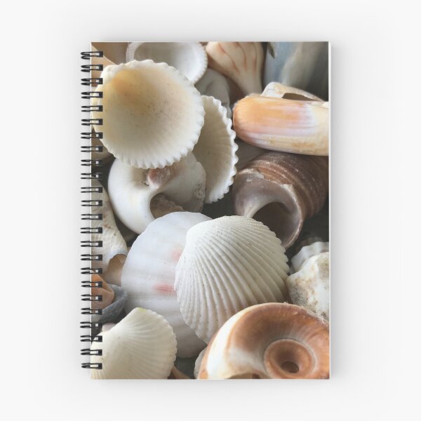 Item preview, Sea shells designed and sold by Katjarr.