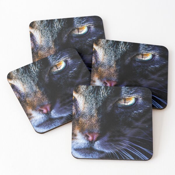 Item preview, Cat in the night designed and sold by PeterMunz.