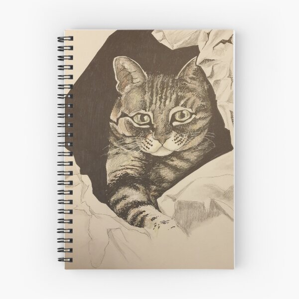 Item preview, Cat package designed and sold by EjsArtArt.