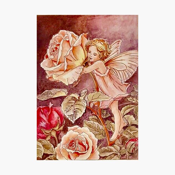 “The Rose Fairy” by Cicely Mary Barker Photographic Print