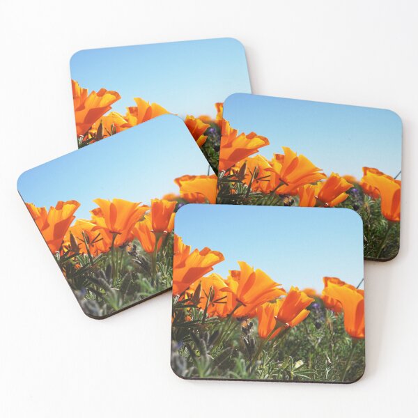 Item preview, California Poppies in the Sun Photograph designed and sold by Bumblefuzzies.