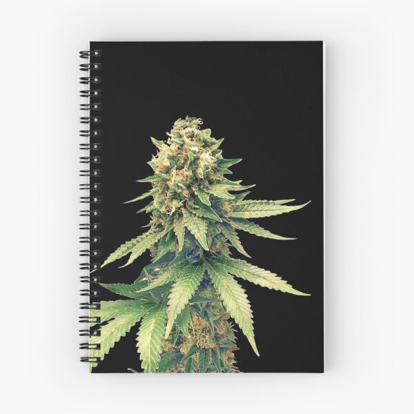 Item preview, Pristine buds designed and sold by CabbageNClouds.