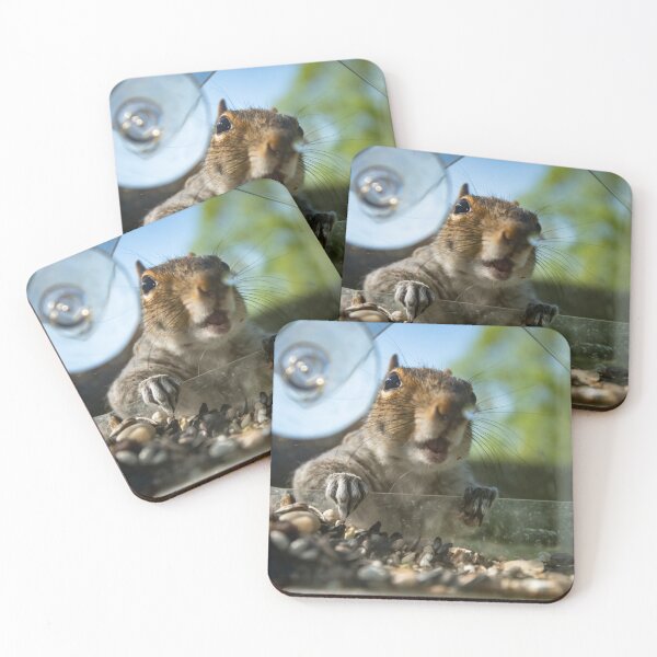 Item preview, Surprise designed and sold by akiobsession.