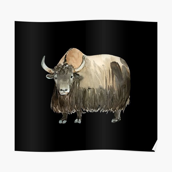 Domestic Yak Posters for Sale | Redbubble