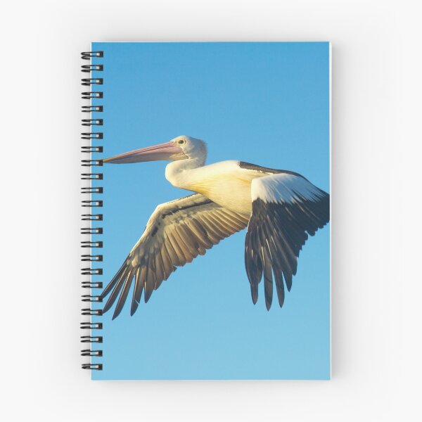 Item preview, The Pelican designed and sold by Jade Welch.