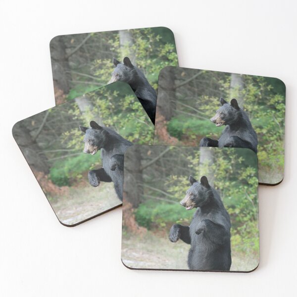 Item preview, Black Bear Standing designed and sold by mlorenz.