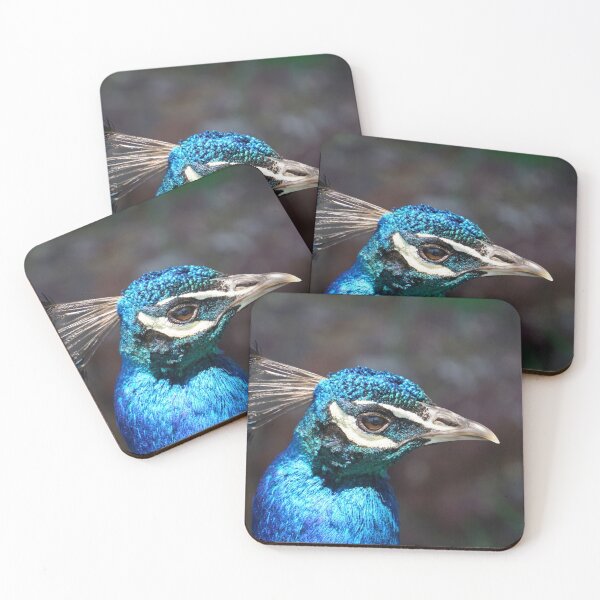 Item preview, Peacock in the Sun Close Up Photograph designed and sold by Bumblefuzzies.
